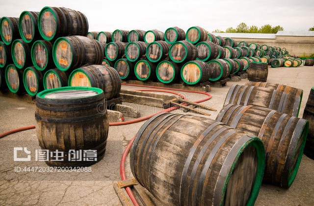 從葡萄到佳釀 酒莊葡萄酒生產的藝術與科學